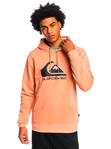 Quiksilver™ Big Logo - Sudadera - Hombre - XXL - Marrón